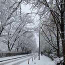 호량