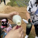 아산 주말농장 천연 농약 만들기 아름누리아카데미 협동조합