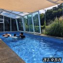 호플리 | 경주 황리단길 수영장 숙소 단체 독채 펜션 호플리 풀빌라