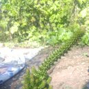 정동농업협동조합 이미지