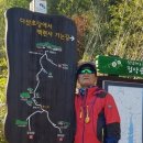 좋은 아침 이미지