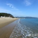 신지명사십리해수욕장 도민일보