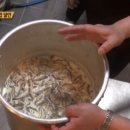 정읍옛날김밥 - 안성시 | 정읍옛날김밥