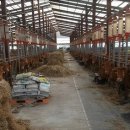 박재덕 농장 이미지