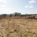 사계초등학교 이미지