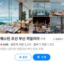 동백로 67 이미지