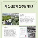 광채농장 이미지