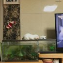 (주)유진홈센터 이미지