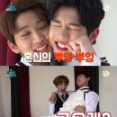 골든픽 일간스포츠
