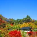 도마 마을회관 이미지