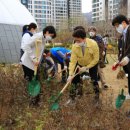 과천시 중앙공원 이미지