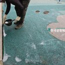 원골어린이공원 | 경기도 부천 원골어린이공원 체육시설탄성포장재