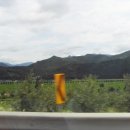 포항여객선터미널 이미지