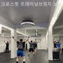 트레이닝브릿지