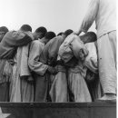 백두산 범 이미지