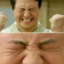 멋쟁이토마토