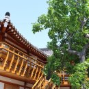 문화로소통-경주이야기 이미지