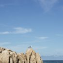 연와 | 인구해변 바로 앞, 자쿠지와 바베큐 공간이 있는 [양양 감성 숙소 | 연와 후기]