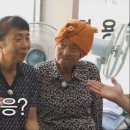 둘리미용실 이미지