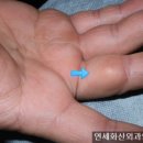 연세화산외과 이미지