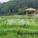 국화1리 마을회관