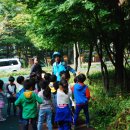 금부초교 이미지