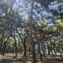 백운산 텃골 팬션 이미지