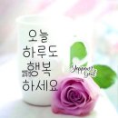 중년의 감성 이미지