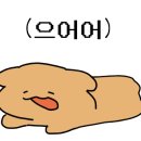 남창정형외과의원 이미지