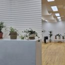 정희요가원