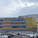 청소년수련관 앞 가로수 | ​[초등 미디어교육] 똑똑한 이용 습관부터 팩트체크까지! (화성시청소년수련관 x 친절한써니쌤)