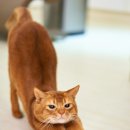 엑소메디의원 이미지