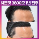 모엠의원 Daum카페