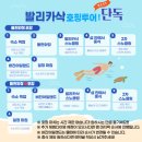 보홀스케치