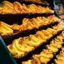 드림마트24 이미지