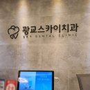 스카이치과 네이버블로그