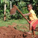 천을농장 이미지