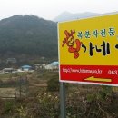 귀재농장 이미지