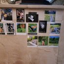 아니타 홈 이미지