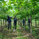 지내권역마을 이미지