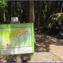 서귀포자연휴양림2 이미지