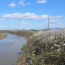 웅포면 행정복지센터 이미지