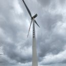 개물목장 | 제주도에서 ★돌고래 보기 성공★ (돌고래 스팟 공유), '신창풍차해안도로' 싱게물공원에서 산책과...