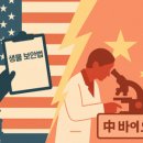 나우씨아이