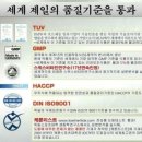 독일효소