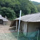 무성리농장 이미지