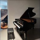 하우스 콘서트 3 | 제주 연동 음악학원 한라숲음악학원 2026 하우스콘서트 후기 및 성장 이야기