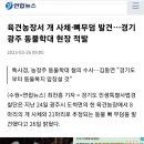 육견농장서 개 사체·뼈무덤 발견…경기광주 동물학대 현장 적발 이미지