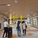 쁘니푸드 | [몰디브 가족여행: 마디푸시 프라이빗 아일랜드] 20대 둘, 50대 둘 : 가족여행기 2편 _ 몰디브를 가자