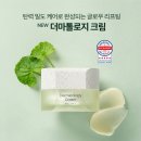 리만코리아 아이씨디 인셀덤 더마톨로지 크림 솔직 후기 및 효과 총정리